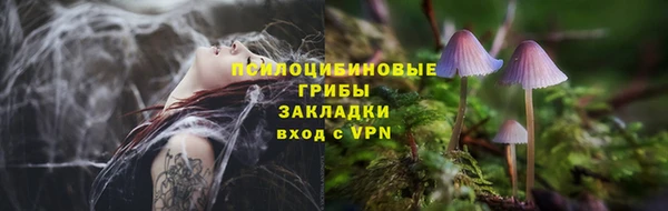 ешки Абинск