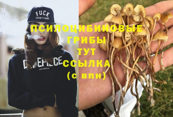 ешки Абинск