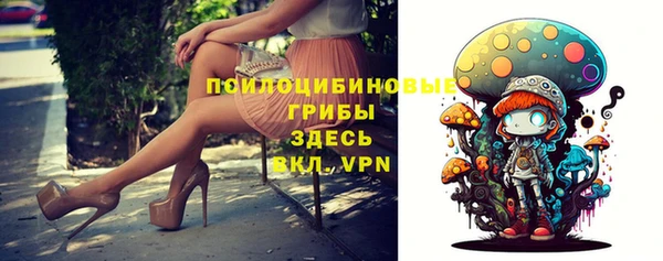 ешки Абинск