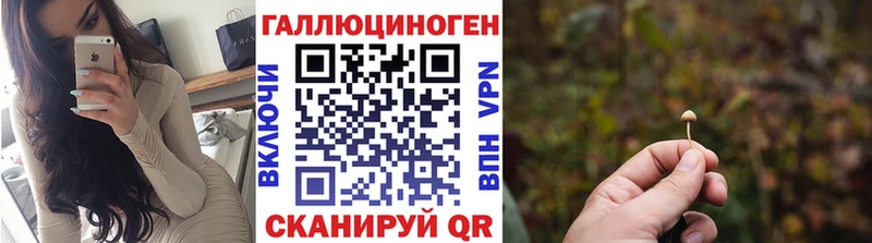 наркотики  Королёв  блэк спрут ONION  Галлюциногенные грибы Psilocybine cubensis 